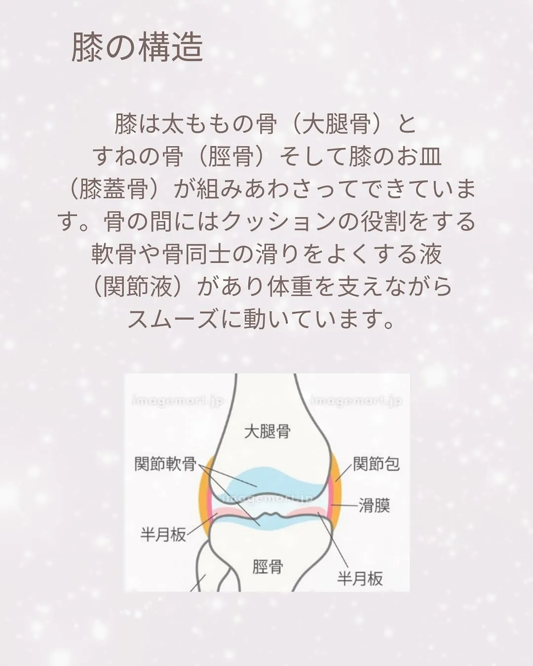 こんばんは！ELIFEです！