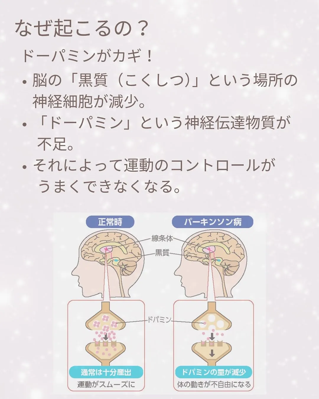 おはようございます！フィットネス×デイELIFEです。