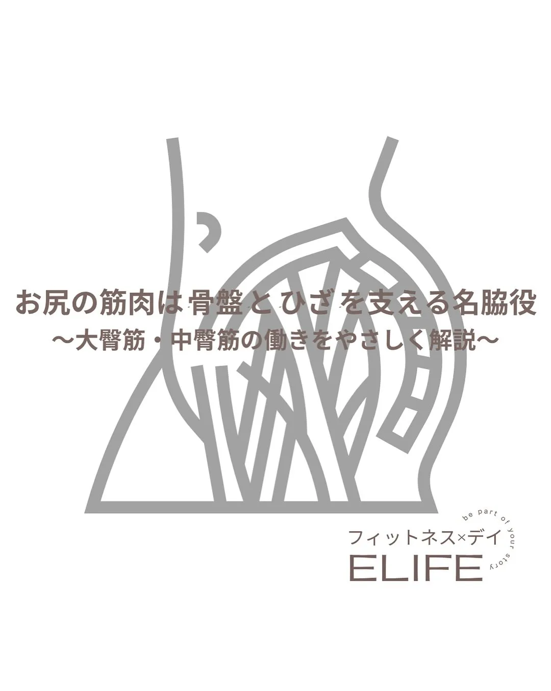 実は重要！大殿筋について